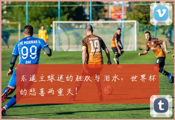 东道主球迷的狂欢与泪水,世界杯的悲喜两重天!