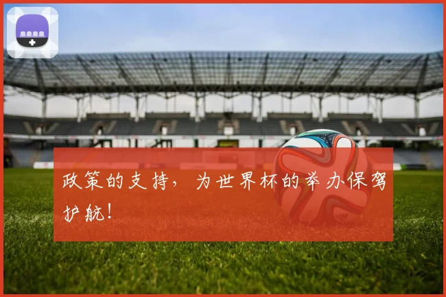 政策的支持,为世界杯的举办保驾护航!