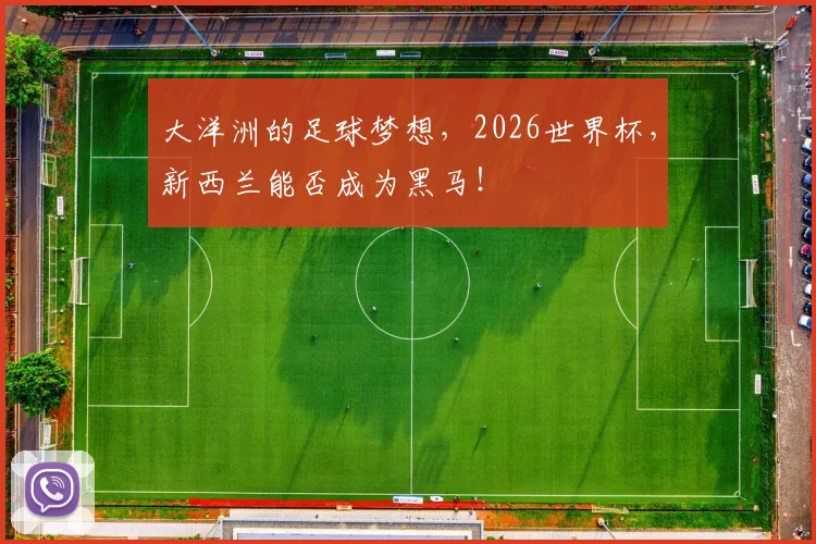 大洋洲的足球梦想，2026世界杯，新西兰能否成为黑马！