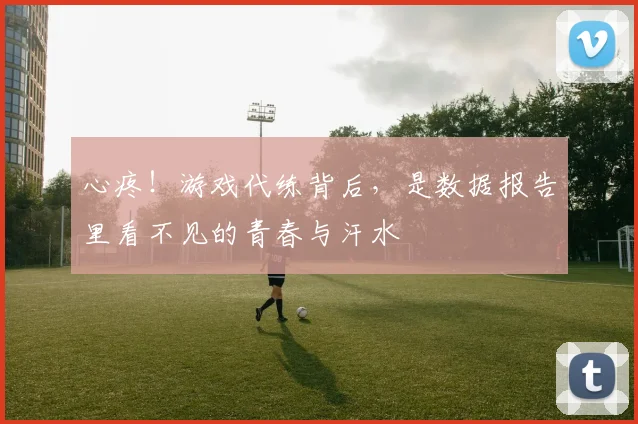 心疼!游戏代练背后,是数据报告里看不见的青春与汗水