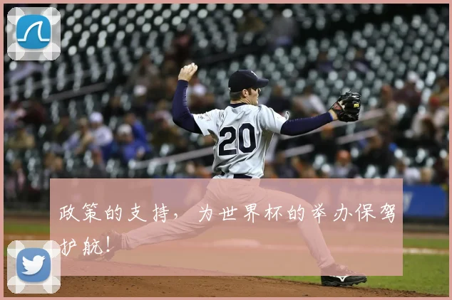 政策的支持,为世界杯的举办保驾护航!